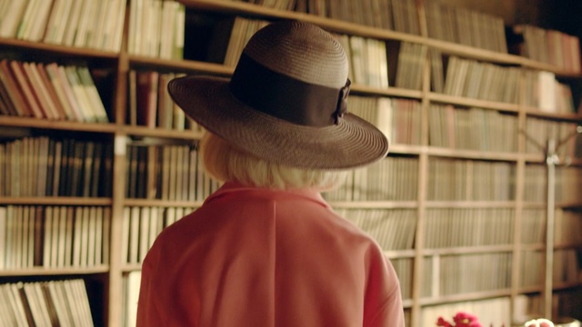 Video Reference: hat, library, Person
