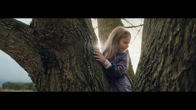 Video Reference: People in nature, Tree, Nature, Photograph, Trunk, Branch, Woody plant, Adaptation, Photography, Hide-and-seek, Person