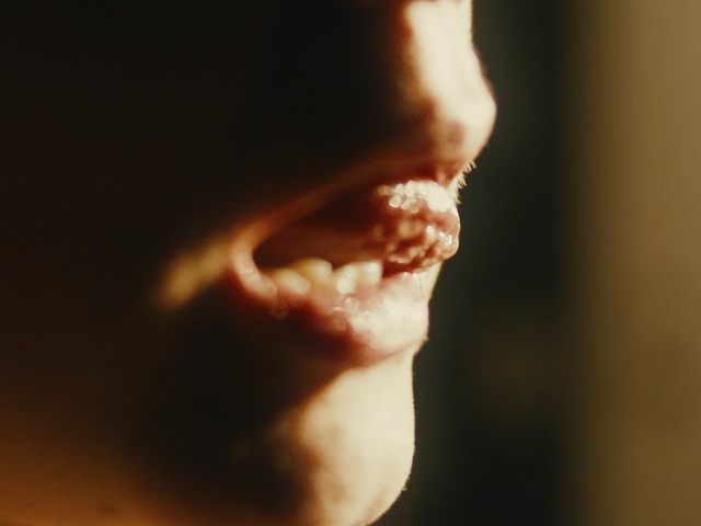 Video Reference: nose, chin, close up, jaw, lip, mouth, tooth, neck, macro photography, snout