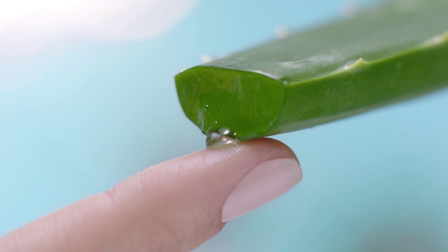 Video Reference: Green, Leaf, Finger, Hand, Jade, Plant, Rock candy