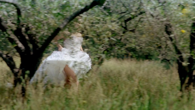 Video Reference: tree, ecosystem, grass, woodland, grassland, grass family, pasture, prairie, meadow, spring