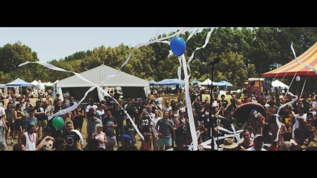 Video Reference: crowd, people, festival, event, audience, tree, public event, recreation, fun