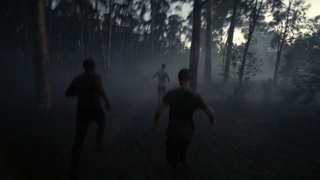 Video Reference: Atmospheric phenomenon, Black, Mist, Darkness, Natural environment, Atmosphere, Forest, Tree, Sky, Morning, Person