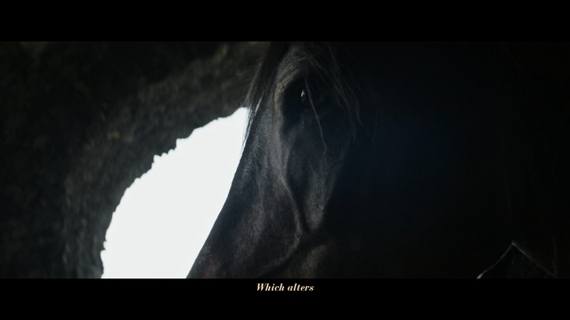 Video Reference: Black, Darkness, Photography, Monochrome photography, Tree, Black-and-white, Cave, Wildlife, Screenshot