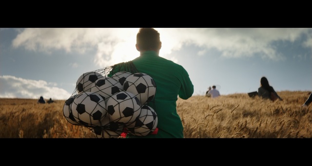 Video Reference: Sky, Cloud, Grass, Photography, Adaptation, Grassland, Wildlife, World