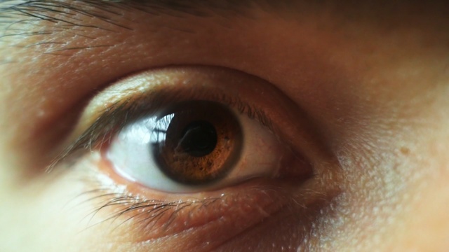 Video Reference: eyebrow, eye, eyelash, nose, close up, macro photography, forehead, iris, organ, eyelash extensions