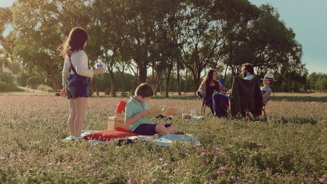 Video Reference: photograph, plant, grass, vertebrate, tree, fun, picnic, outdoor recreation, recreation, summer