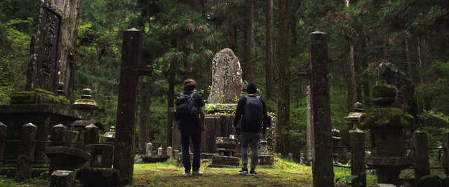 Video Reference: Woodland, Forest, Nature reserve, Natural environment, Grove, Tree, Biome, Jungle, Old-growth forest, Rainforest