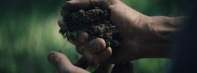 Video Reference: Soil, Hand, Finger, Adaptation, Thumb, Gesture