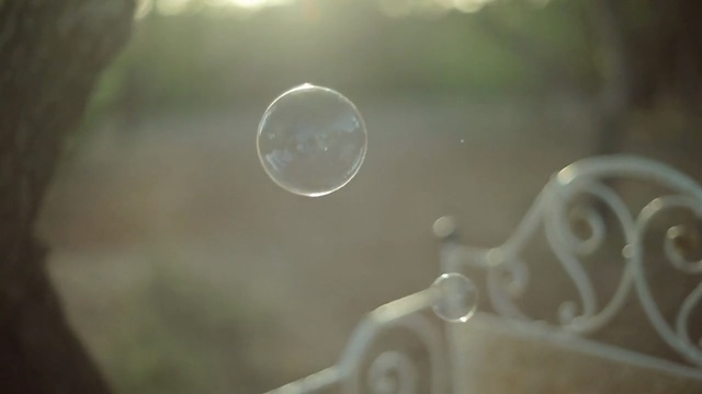 Video Reference: Water, Macro photography, Photography, Glass