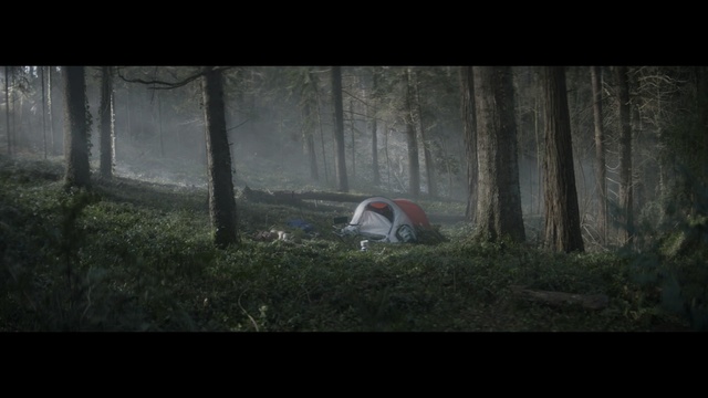 Video Reference: nature, forest, ecosystem, woodland, wilderness, screenshot, tree, darkness, atmosphere, biome