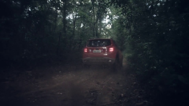 Video Reference: Vehicle, Car, Atmospheric phenomenon, Off-roading, Natural environment, Tree, Forest, Road, Automotive design, Compact car