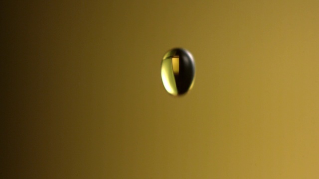 Video Reference: Yellow, Macro photography, Circle, Drop