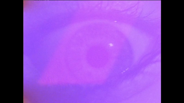 Video Reference: blue, violet, purple, atmosphere, circle, sky, magenta, computer wallpaper, organism, space