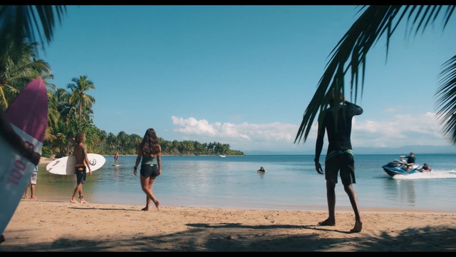 Video Reference: Beach, People on beach, Vacation, Fun, Tree, Ocean, Sea, Sky, Palm tree, Tourism