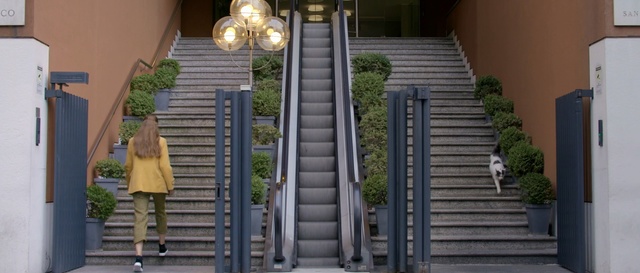 Video Reference: stairs, structure, architecture, handrail, facade, building, house