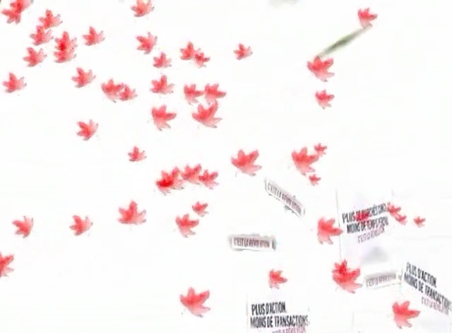 Video Reference: red, petal, flower, font, sky, computer wallpaper, branch, Person