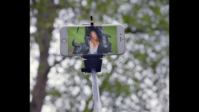 Video Reference: Tree, Photography, Wildlife, Squirrel, Person