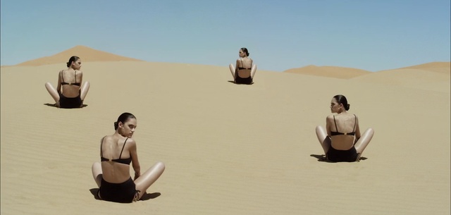 Video Reference: Desert, Natural environment, Sand, Sitting, Aeolian landform, Landscape, Sahara, Dune, Erg, Art