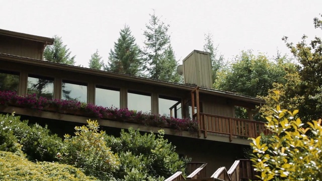 Video Reference: plant, cottage, house, tree, home, outdoor structure, roof, facade, real estate, flower