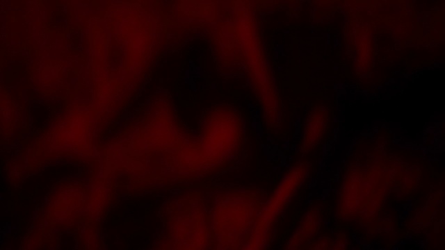 Video Reference: Red, Black, Maroon, Light, Darkness, Magenta, Pattern, Room, Textile, Carmine