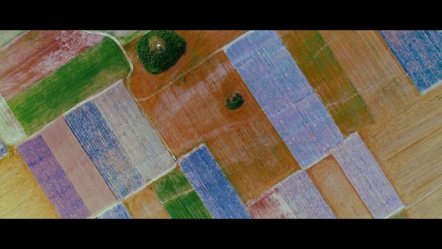 Video Reference: Green, Textile, Wood, Hardwood, Linens, Pattern, Wood stain, Tablecloth