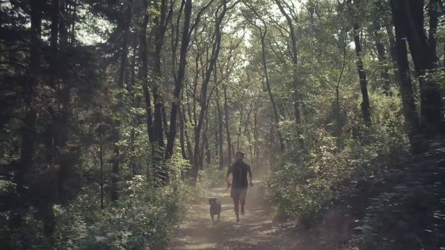 Video Reference: Forest, Nature, Tree, Woodland, Natural environment, Nature reserve, Old-growth forest, Vegetation, Biome, Jungle, Person