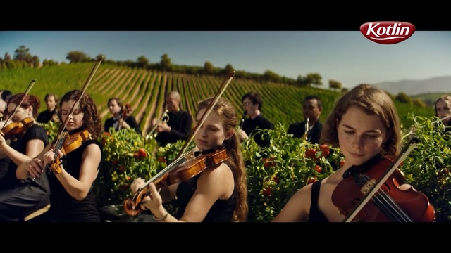 Video Reference: String instrument, Music, Musical instrument, Fiddle, Violin, String instrument, Bowed string instrument, Violin family, Violist, Violinist