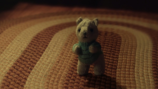 Video Reference: fauna, snout, macro photography