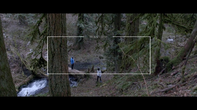 Video Reference: Nature, Natural environment, Forest, Wilderness, Tree, Nature reserve, Old-growth forest, Jungle, Biome, Woodland