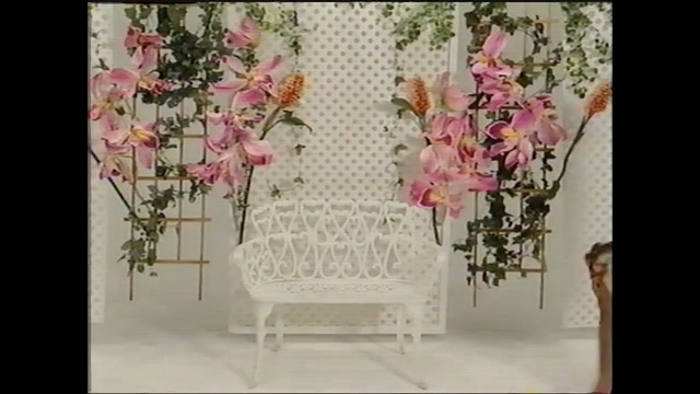 Video Reference: flower arranging, flower, floristry, pink, flora, floral design, interior design, furniture, flower bouquet, petal, Person