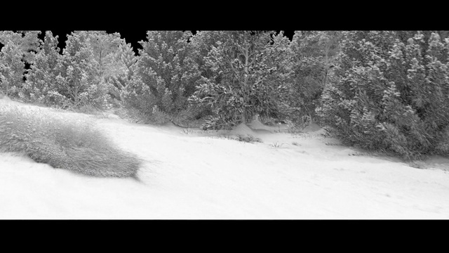 Video Reference: Snow, Winter, White, Nature, Black-and-white, Monochrome photography, Freezing, Monochrome, Geological phenomenon, Atmospheric phenomenon