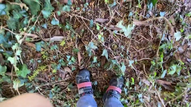 Video Reference: Footwear, Grass, Bottle, Plant, Plant community, Tree, Shoe, Soil, Water bottle, Plastic bottle