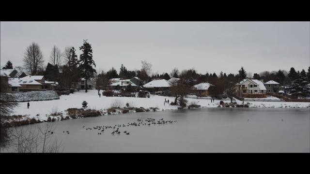 Video Reference: snow, winter, water, nature, freezing, tree, sky, reflection, morning, lake