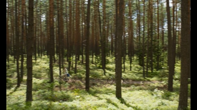 Video Reference: Tree, Forest, Tropical and subtropical coniferous forests, Spruce-fir forest, Natural environment, Woodland, Northern hardwood forest, Nature, Biome, Temperate broadleaf and mixed forest, Person, Female