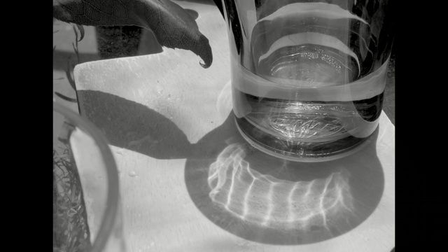 Video Reference: black and white, monochrome photography, water, photography, glass, monochrome, close up, still life photography, transparency and translucency, Person