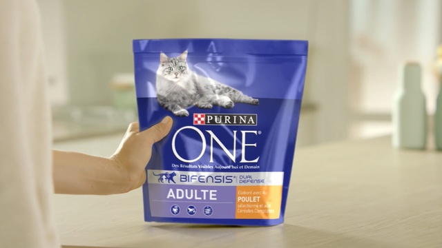 Video Reference: Cat, Cat food, Felidae, Kitten, Pet food, Small to medium-sized cats