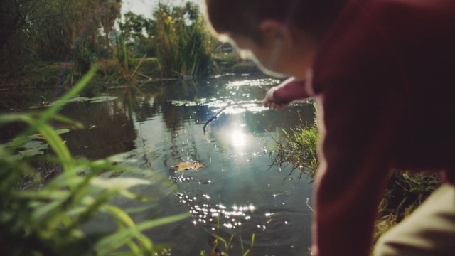 Video Reference: Nature, Water, Green, Sunlight, Botany, Grass, Leaf, Tree, Adaptation, Hand