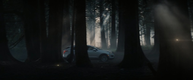 Video Reference: Black, Natural environment, Tree, Atmospheric phenomenon, Automotive lighting, Forest, Darkness, Sky, Vehicle, Car