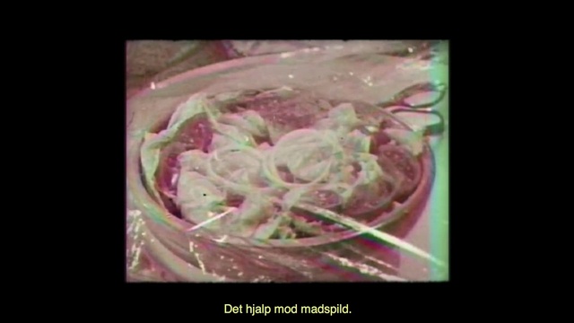 Video Reference: Pink, Petal, Flower, Organism, Plant, Floral design, Rose, Art, Food, Vegetable