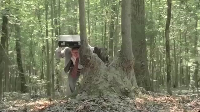 Video Reference: woodland, ecosystem, forest, wilderness, old growth forest, tree, path, logging, jungle, biome