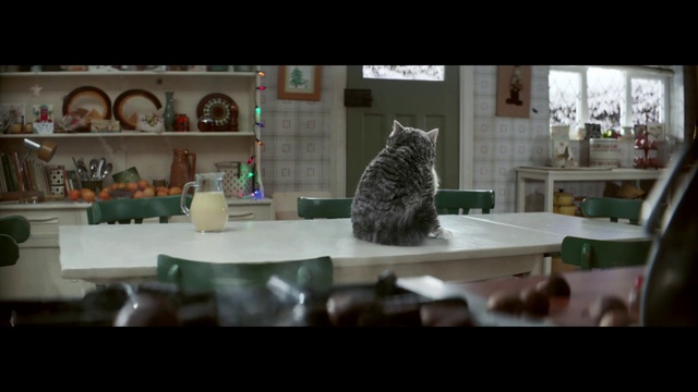 Video Reference: Cat, Felidae, Table, Small to medium-sized cats, Snapshot, Interior design, Room, Whiskers, Bengal, Furniture