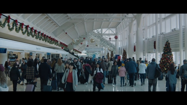 Video Reference: Crowd, People, Public space, Passenger, Human settlement, City, Transport, Airport terminal, Building, Market