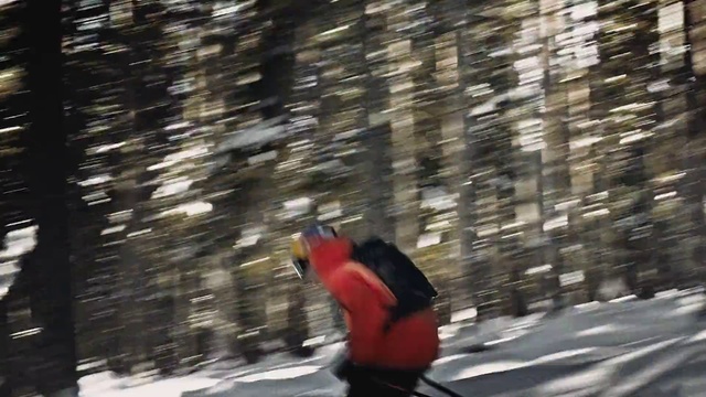 Video Reference: Snow, Tree, Winter, Sunlight, Recreation, Plant