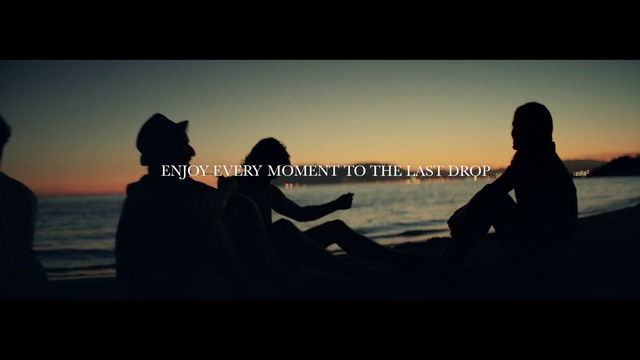 Video Reference: Sky, Friendship, Dusk, Silhouette, Evening, Horizon, Backlighting, Sunset, Sea, Photography