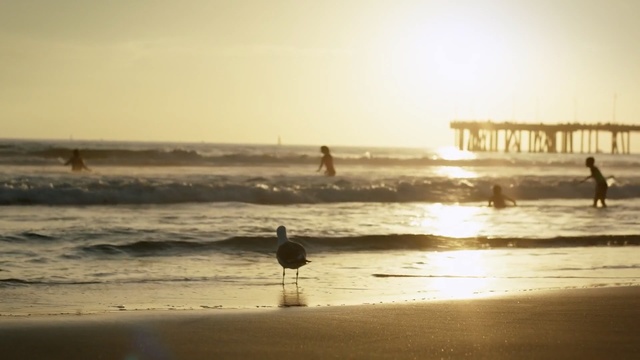 Video Reference: Beach, Sea, Ocean, Shore, Wave, Coast, Sky, Water, Horizon, Wind wave