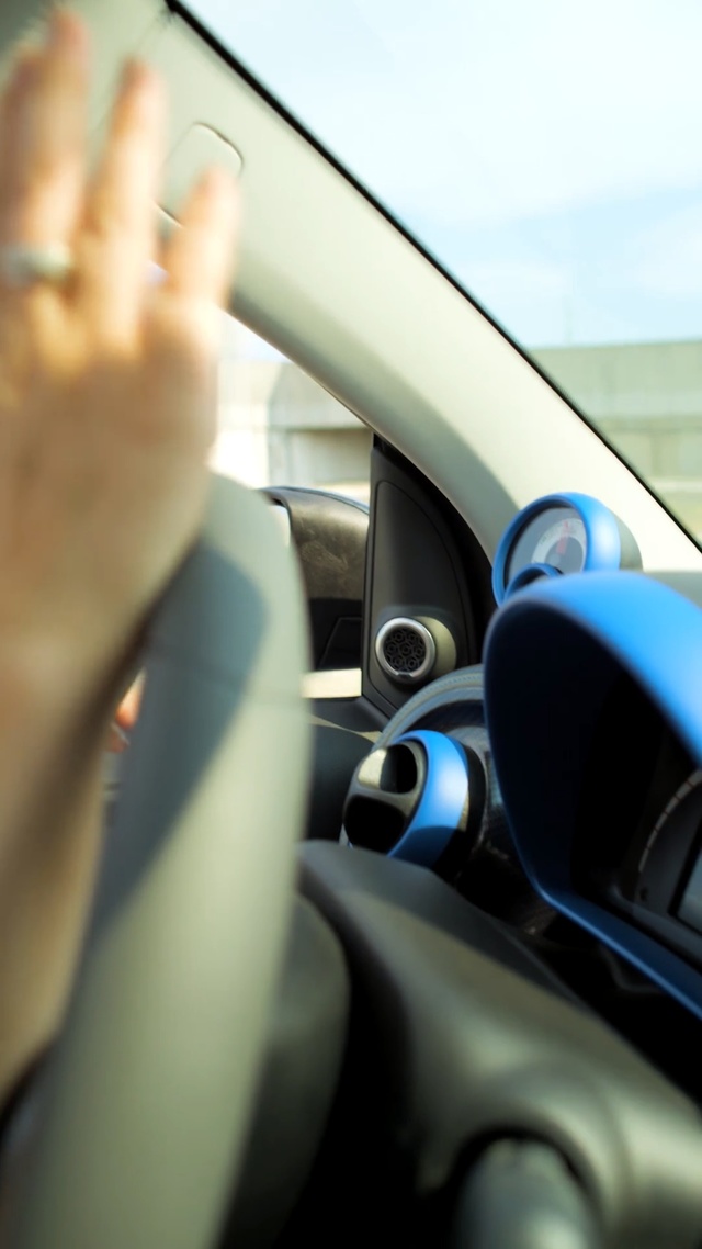 Video Reference: Vehicle door, Vehicle, Driving, Car, Steering part, Steering wheel, Automotive design, Hand, Auto part, Rear-view mirror