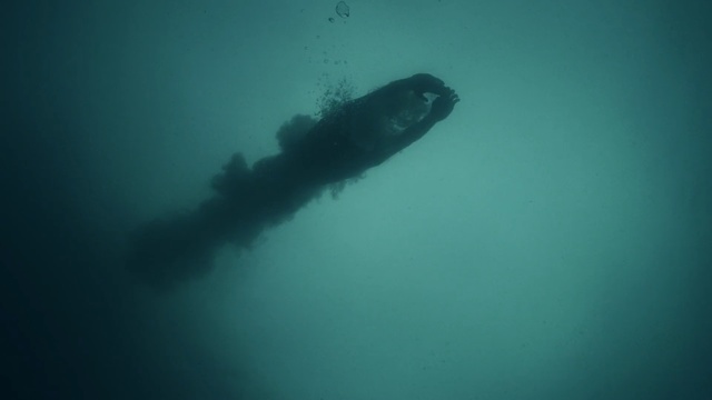 Video Reference: Underwater, Marine biology, Turquoise, Water, Organism, Fin, Recreation, Sea, Underwater diving