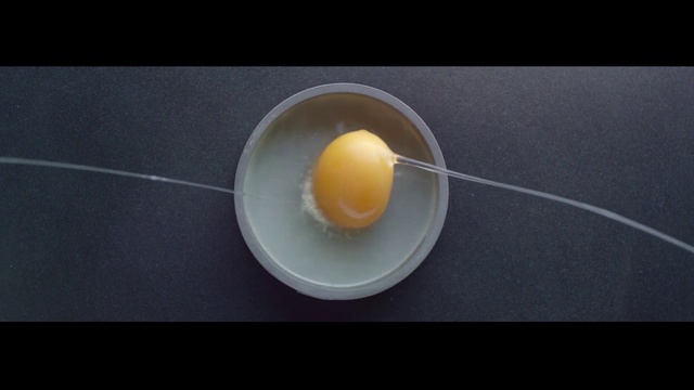 Video Reference: Egg yolk, Egg white, Egg, Egg, Food, Dish, Ingredient, Still life photography