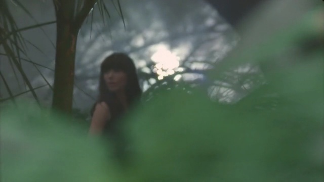 Video Reference: green, grass, black hair, girl, tree, plant, sunlight, darkness, branch, sky, Person